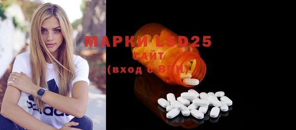 хмурый Алексин