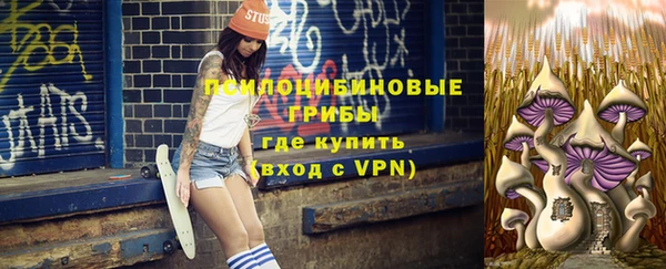 хмурый Алексин