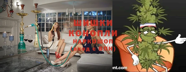 хмурый Алексин