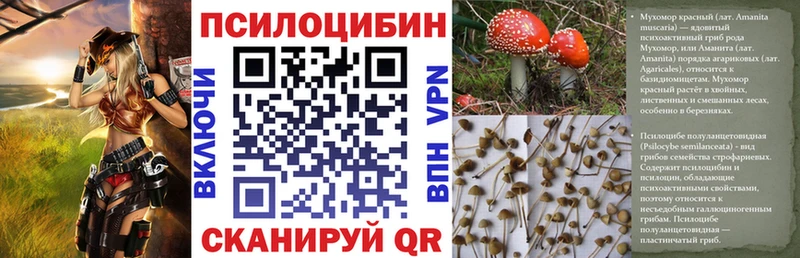 OMG сайт  наркота  Луза  Псилоцибиновые грибы Psilocybe 